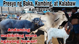 April 26, 2024 Presyo ng Baka, Kambing, Kalabaw at Kabayo | Dji Osmo Action 4 | Livestock Farming