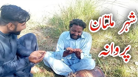 Aa Medi Jaan Shehar Multan | parwana Song Irfan official