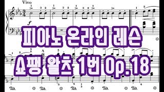 피아노 온라인 레슨 - 쇼팽 왈츠 1번 (1~53마디까지)
