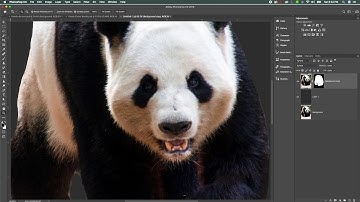 Remove Background in Photoshop for ProRip White Toner Printing