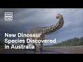New Species of Dinosaur Discovered in Australia