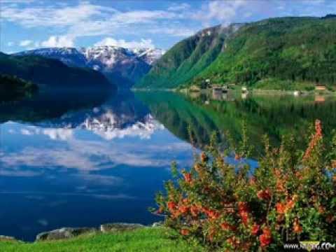 ياسمين الخيام نشهد