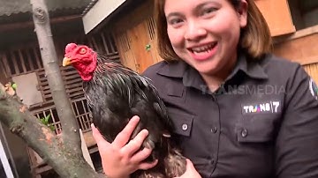 Belibis Goreng, Apa Iya Ini Burung Belibis Asli? | OMG!! (01/08/23)