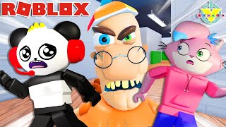 Roblox Team School Escape with Alpha Lexa and Combo Panda!!