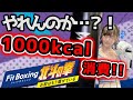 【サンドバックタコ殴り】やれんのか?1000キロカロリー消費ッ!!【人間!】
