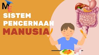 Human Digestive System | Mechanisms & Disorders - Biology Human Digestive System | Mechanisms & Disorders - Biology