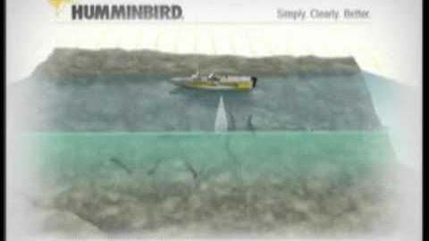 Introduction to Sonar