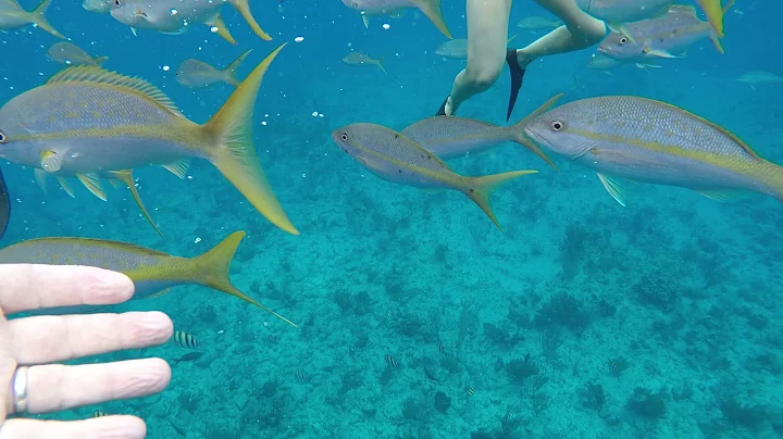 Grand Turk 4