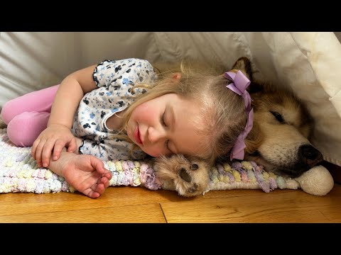Video: Slimme korte film volgt de hilarische mees van een meisje en haar hondenvriendje