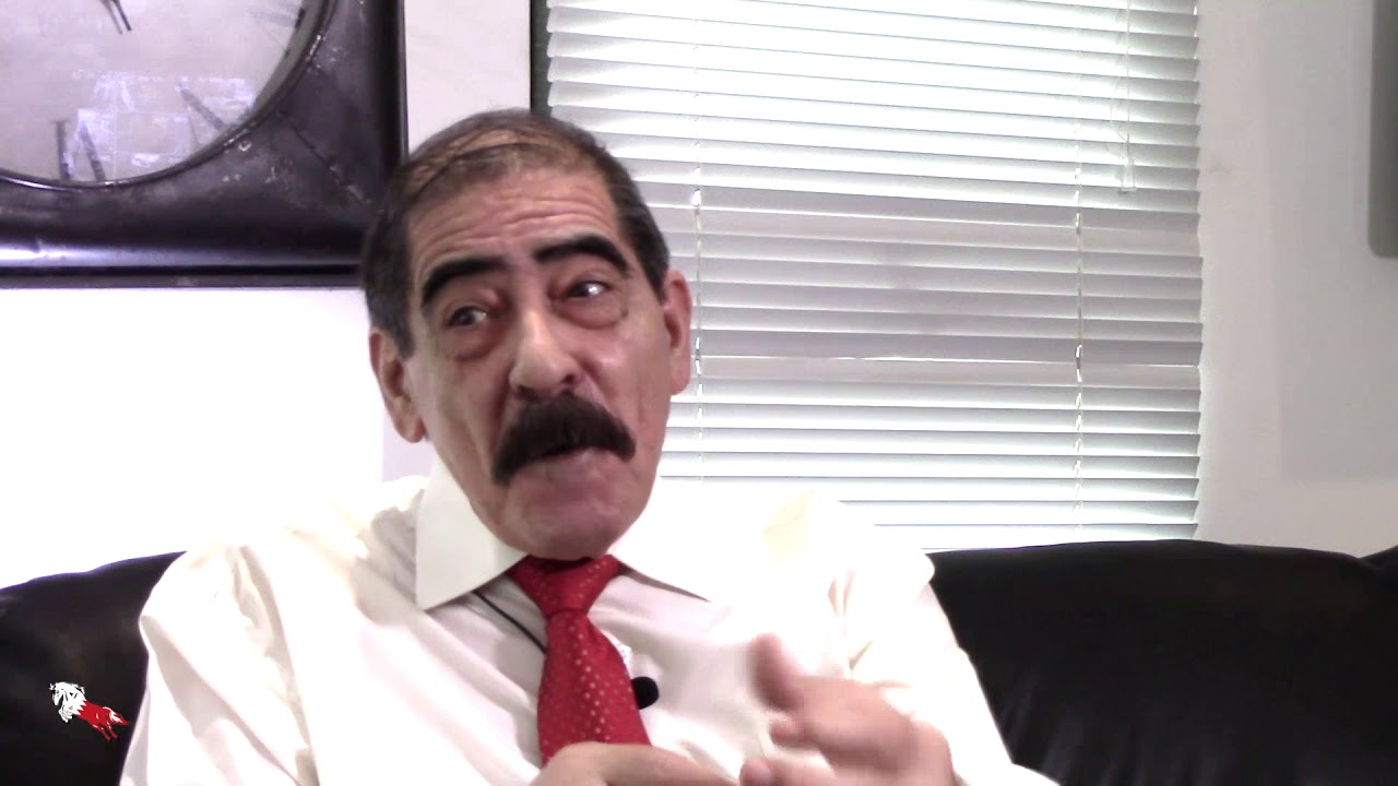 تغذية الخيل والطريقة الصحيحة في تنظيم المنظومة الغذائية للخيل