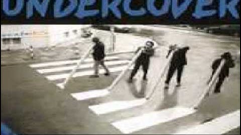 snug as a bug - 4 Months Later