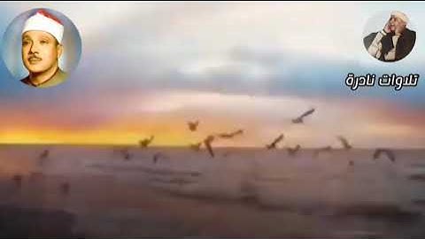تلاوه تفوق الجمال لفضيلة الشيخ عبدالباسط عبدالصمد..اواخر سورة (الحشر والشمس والضحى والشرح)