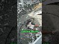 🏡 Overpriced homes sit. ✍️ Comment PRICE and I'll show you how to comp properly