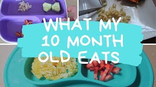 WHAT MY BABY EATS IN A DAY || 10 MONTHS OLD || Kristen Leah & Family