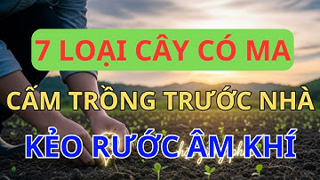 CẢNH BÁO ĐẠI KỴ: 7 Loại Cây CÓ MA Tuyệt Đối Cấm Trồng Trước Nhà Kẻo RƯỚC ÂM KHÍ, PHÚC SUY LỘC TÁN