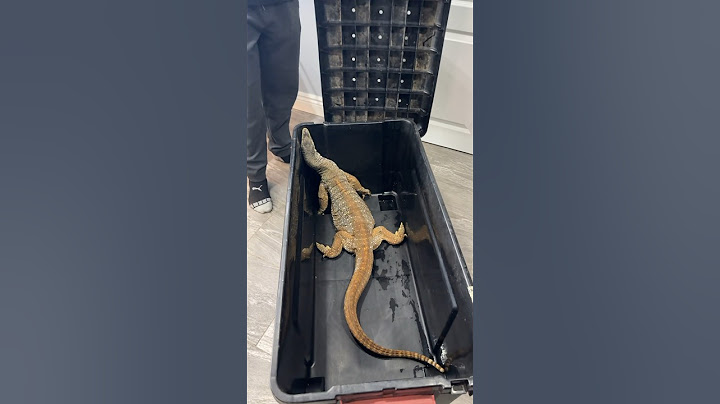 My new Argus Monitor!