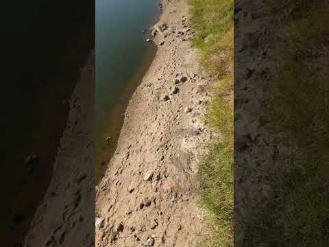 السدة الشتوية وآثارها على الترعة على الابراهيمية 