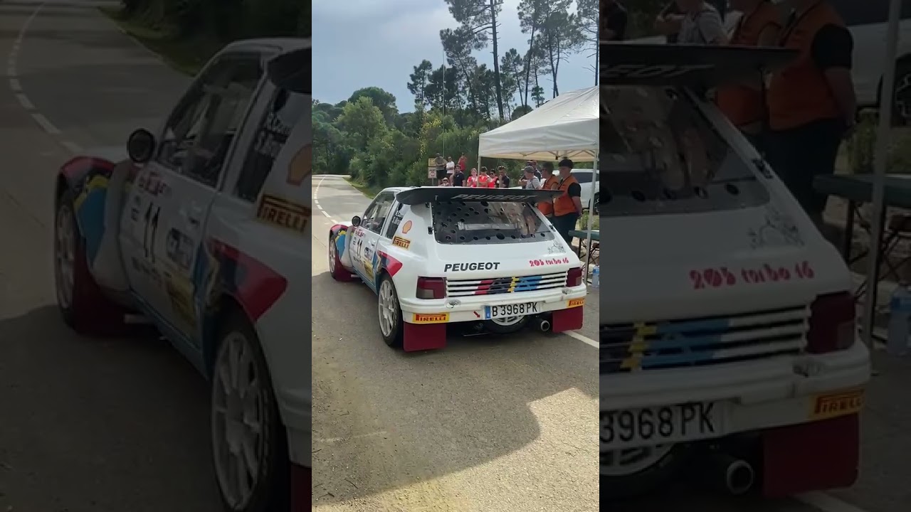 PEUGEOT 205 T16 : Le Monstre de Rallye qui a Marqué l’Histoire ! 🔥