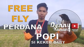 CUMA PAKE PELUIT KANG PARKIR BURUNG INI LANGSUNG DATANG TANPA REMOTE CONTROL! MELATIH KEKEP FREE FLY