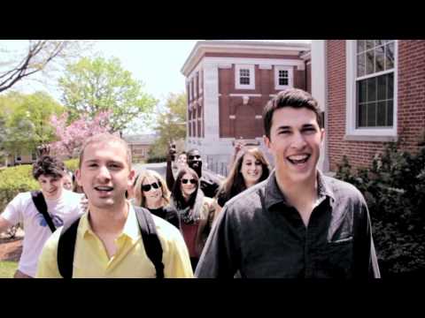 Timeflies - Cars Money And Fame