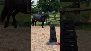 Ad ref 269007   Video 2