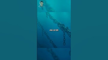 người đàn ông phát hiện ra một bí mật kinh hoàng dưới lòng biển sâu