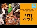 Learn Japanese through comprehensible input/TPRS. #5 PETS ペット