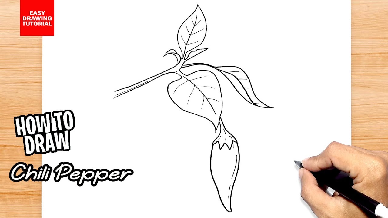 How to draw Chili Pepper