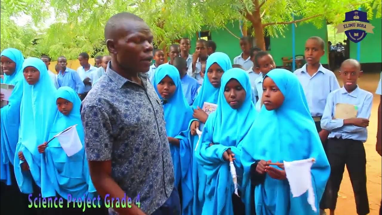 Grade 4 Science Project 2024 Grade 4 Science Project 2024