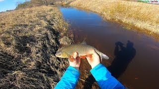 Рыбалка на Saaremaa-Kuke,Viira