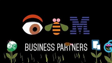 IBM Websphere Business Partners
