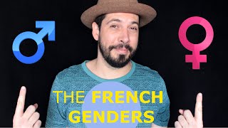 Masculine Or Feminine How To Identify A French Word - Lesson For Beginners