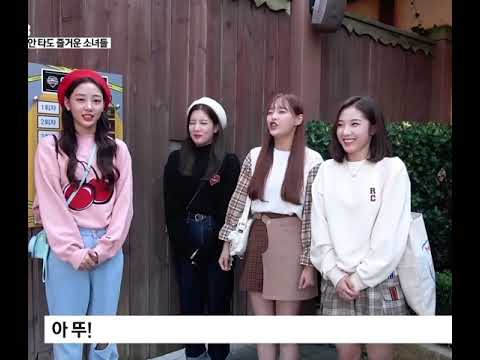 데뷔걸스 (이달의소녀 하슬 김립 이브 츄)