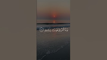 ولقد أرسلنا موسى بآياتنا وسلطان مبين إلى فرعون وملأه | مقطع للشيخ حازم سيف من سورة هود