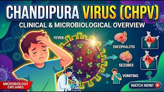 Chandipura Virus (CHPV): Clinical Microbiological Overview