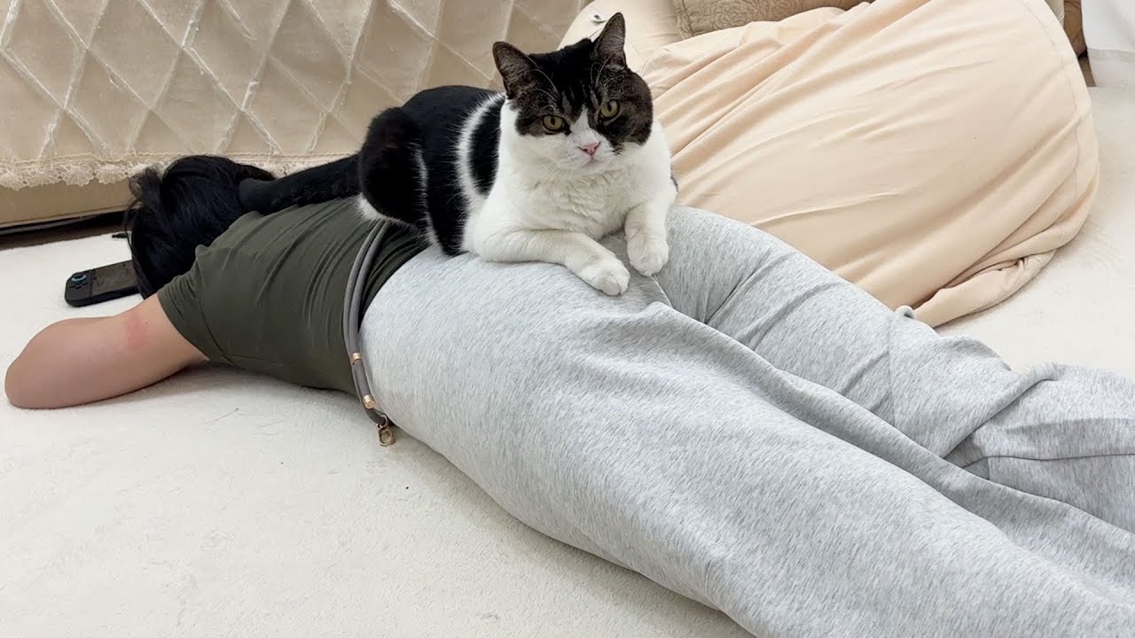 無職の妹とお尻から離れないもふ猫のだらけきった1日がこちら…w