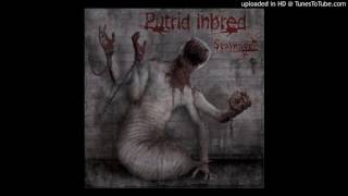 Putrid Inbred - Scavenger Putrid Inbred