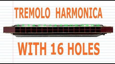 How to Play a Tremolo Harmonica with 16 Holes