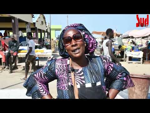 Le poisson qui compose le Thiebou Dieune devient de plus en plus rare et très cher au Sénégal