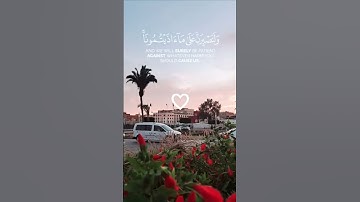 الآية 12 من سورة إبراهيم ♡