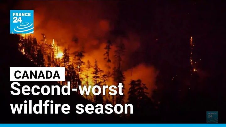 Canada sees second-worst wildfire season • FRANCE 24 English
