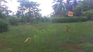 Download Lagu Taman Jamu Indonesia MP3