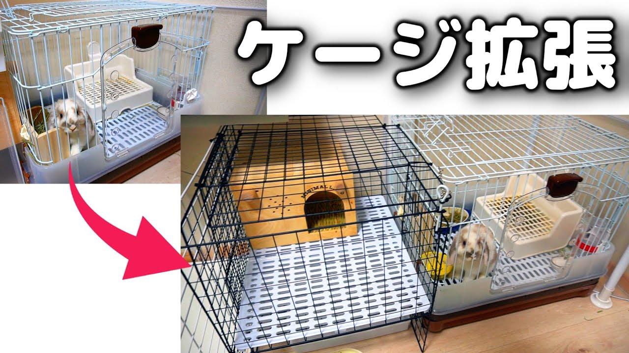 うさぎDIY】狭かったケージを広くさせてみた！ - YouTube