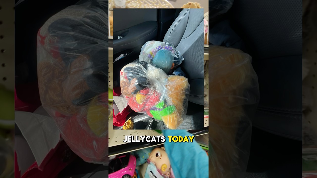 I found a few Jellycat plush at Goodwill 