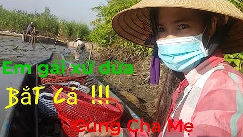 Đi bắt cá phi phụ cha mẹ, Buổi sáng dọc xìn, Bắt cá, Em gái xứ dừa Hồng Tươi