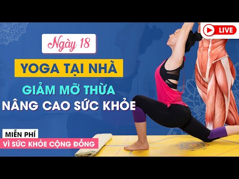 Yoga Trực Tuyến Tại Nhà_ Bài 18  Săn chắc cơ thể  Nguyễn Hiếu Yoga