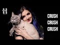 Paramore - CrushCrushCrush - Cover by Halocene