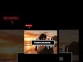 BEAUTIFUL ROMANTIC SONG sh #romanticize #amazingcover #personalfavorites ow me your magic #music