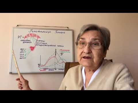 Видео: Нарушение цитокиновых сетей при синдроме Шегрена