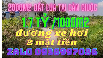 Đất lúa đường xe hơi tại Mỹ Lộc Cần Giuộc 1.7 tỷ /100m2BĐS Bình Chánh - Long An Channel